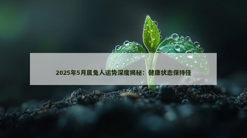 2025年5月属兔人运势深度揭秘：健康状态保持佳