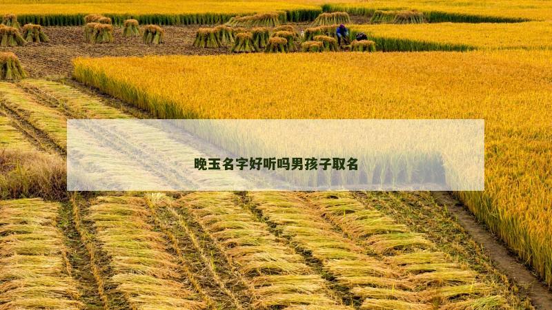 晚玉名字好听吗男孩子取名 晚玉名字好听吗男孩子取名