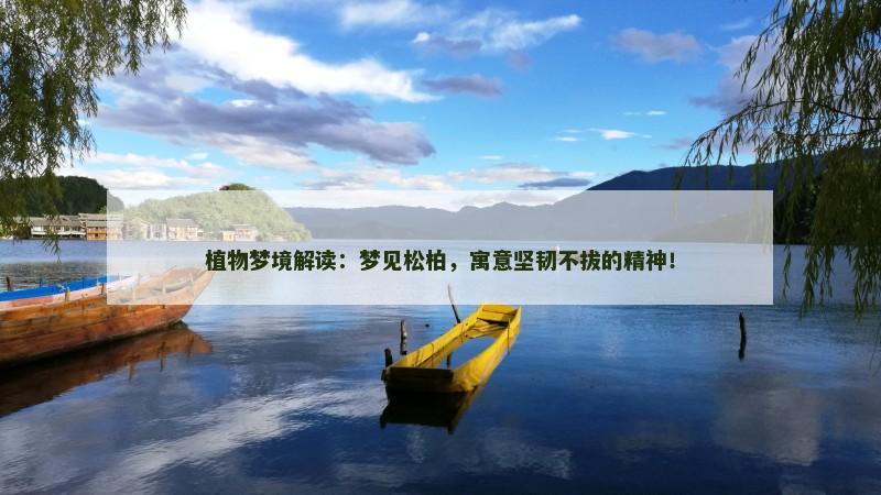 植物梦境解读:梦见松柏,寓意坚韧不拔的精神! 植物梦境解读:梦见松柏,寓意坚韧不拔的精神!