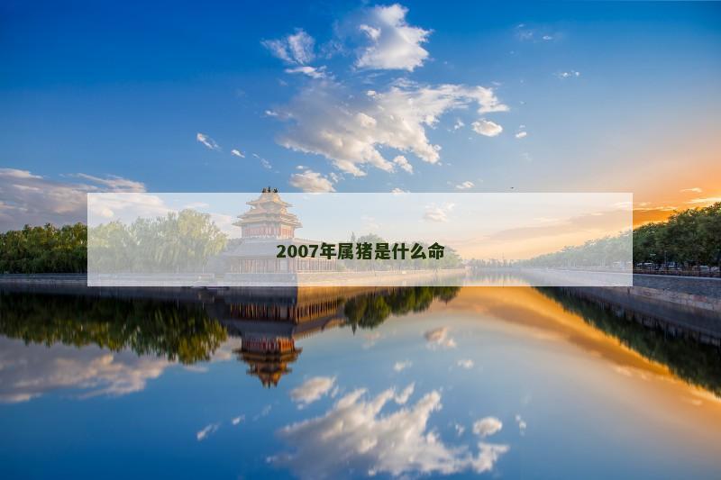 2007年属猪是什么命 2007年属猪是什么命