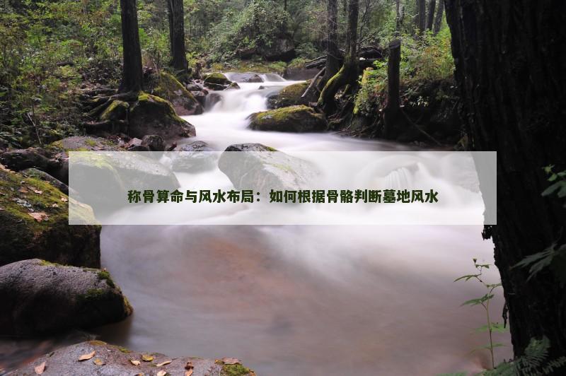 称骨算命与风水布局:如何根据骨骼判断墓地风水 称骨算命与风水布局:如何根据骨骼判断墓地风水