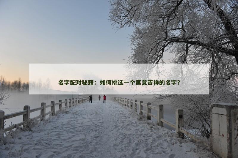 名字配对秘籍:如何挑选一个寓意吉祥的名字? 名字配对秘籍:如何挑选一个寓意吉祥的名字?