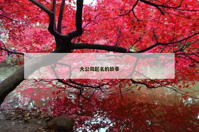 大公司起名的故事 大公司起名的故事