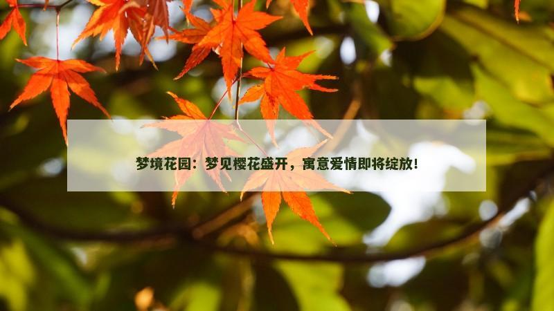梦境花园:梦见樱花盛开,寓意爱情即将绽放! 梦境花园:梦见樱花盛开,寓意爱情即将绽放!