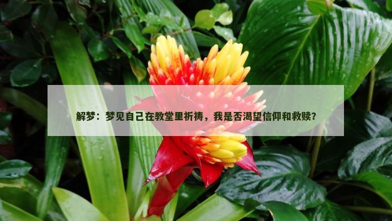 解梦:梦见自己在教堂里祈祷,我是否渴望信仰和救赎? 解梦:梦见自己在教堂里祈祷,我是否渴望信仰和救赎?
