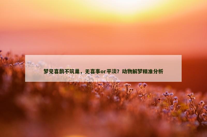 梦见喜鹊不筑巢,无喜事or平淡?动物解梦精准分析 梦见喜鹊不筑巢,无喜事or平淡?动物解梦精准分析