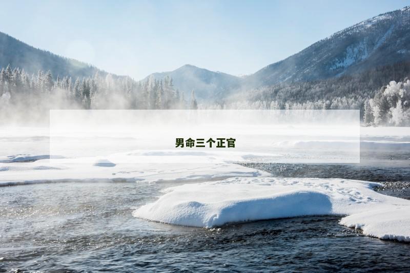 男命三个正官 男命三个正官