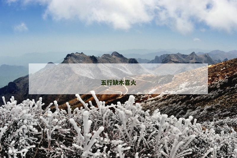 五行缺木喜火 五行缺木喜火