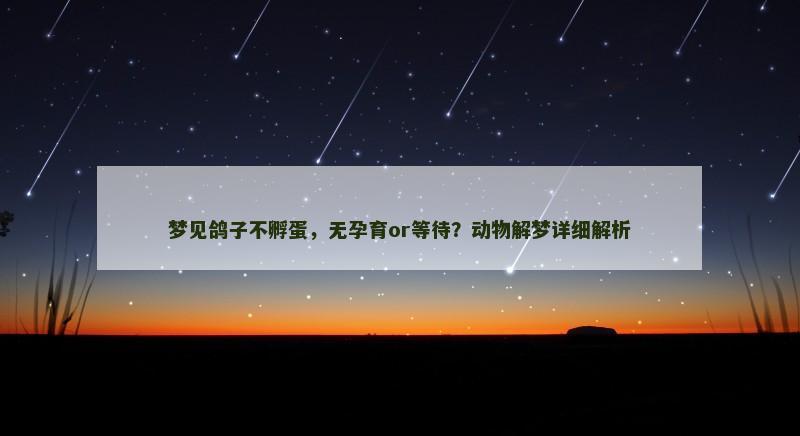 梦见鸽子不孵蛋,无孕育or等待?动物解梦详细解析 梦见鸽子不孵蛋,无孕育or等待?动物解梦详细解析