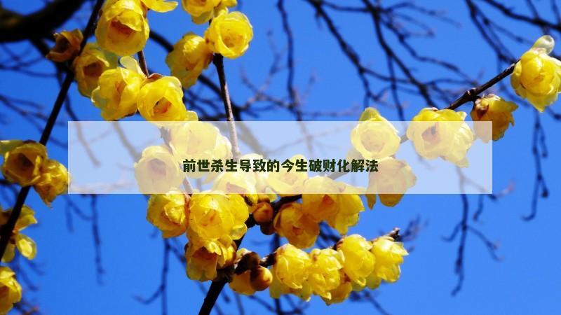 前世杀生导致的今生破财化解法 前世杀生导致的今生破财化解法