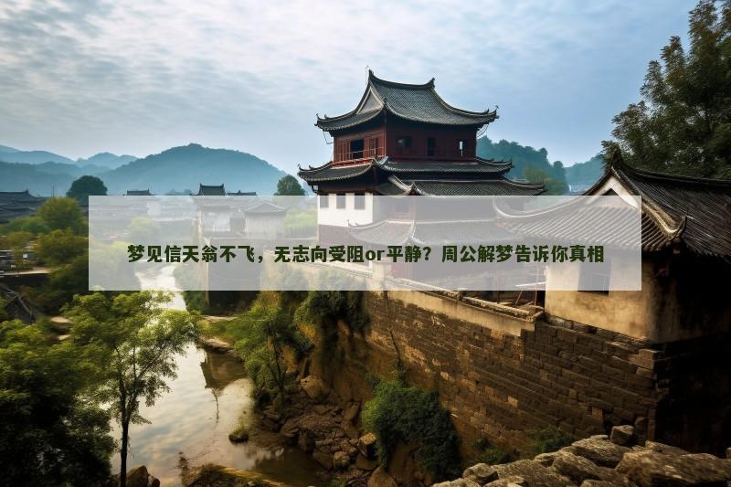 梦见信天翁不飞，无志向受阻or平静？周公解梦告诉你真相