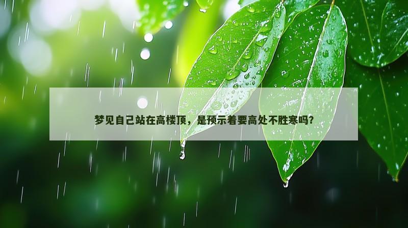 梦见自己站在高楼顶，是预示着要高处不胜寒吗？
