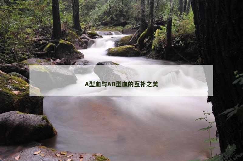 A型血与AB型血的互补之美 A型血与AB型血的互补之美