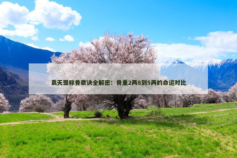 袁天罡称骨歌诀全解密:骨重2两8到5两的命运对比 袁天罡称骨歌诀全解密:骨重2两8到5两的命运对比