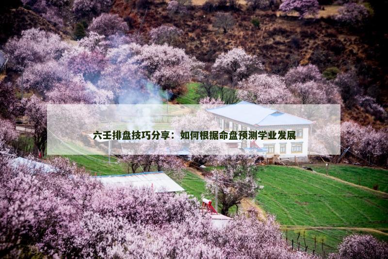 六壬排盘技巧分享:如何根据命盘预测学业发展 六壬排盘技巧分享:如何根据命盘预测学业发展