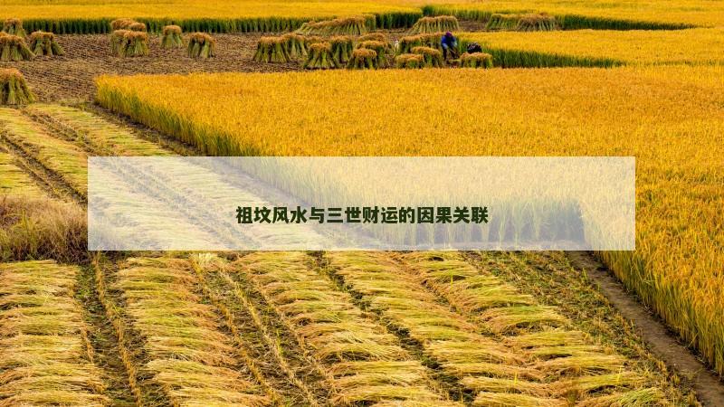 祖坟风水与三世财运的因果关联 祖坟风水与三世财运的因果关联