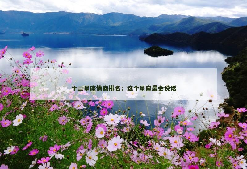 十二星座情商排名：这个星座最会说话