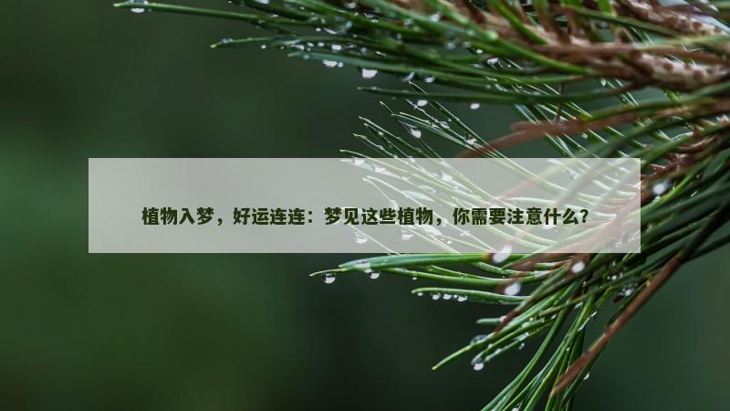 植物入梦,好运连连:梦见这些植物,你需要注意什么? 植物入梦,好运连连:梦见这些植物,你需要注意什么?
