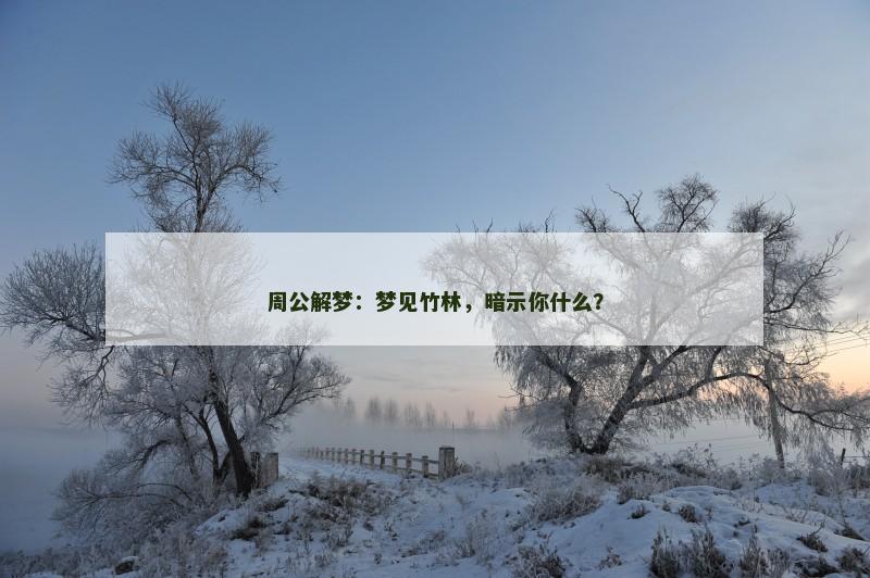 周公解梦:梦见竹林,暗示你什么? 周公解梦:梦见竹林,暗示你什么?