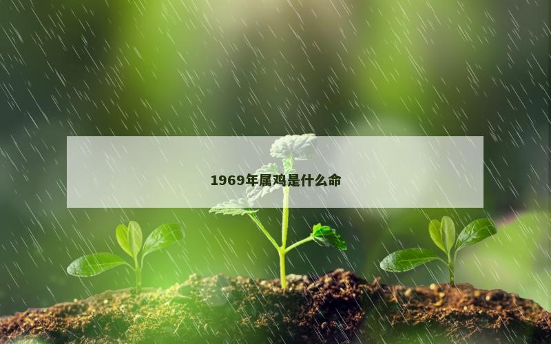 1969年属鸡是什么命 1969年属鸡是什么命