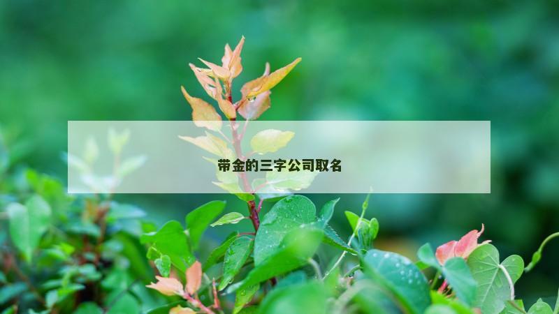 带金的三字公司取名 带金的三字公司取名