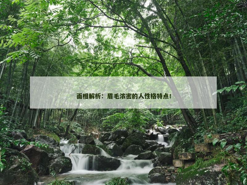 面相解析:眉毛浓密的人性格特点! 面相解析:眉毛浓密的人性格特点!