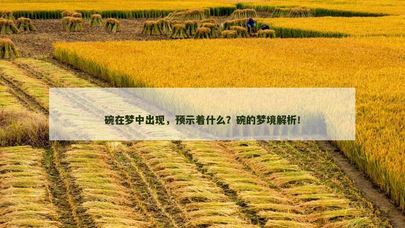 碗在梦中出现,预示着什么?碗的梦境解析! 碗在梦中出现,预示着什么?碗的梦境解析!