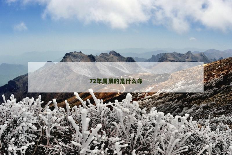 72年属鼠的是什么命
