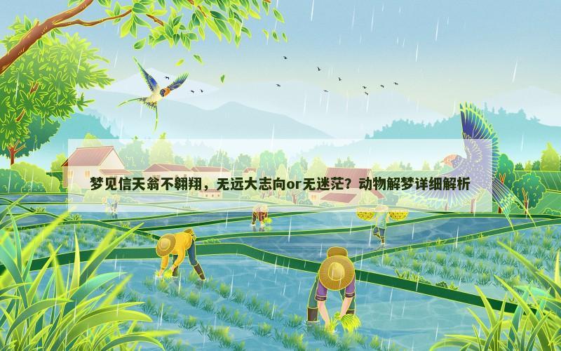 梦见信天翁不翱翔,无远大志向or无迷茫?动物解梦详细解析 梦见信天翁不翱翔,无远大志向or无迷茫?动物解梦详细解析