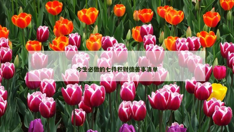 今生必做的七件积财德善事清单 今生必做的七件积财德善事清单