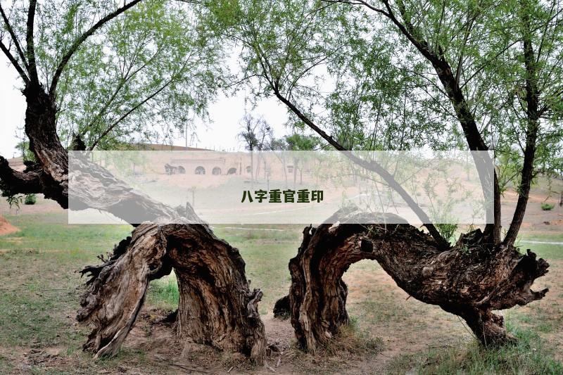 八字重官重印 八字重官重印