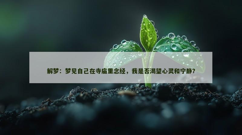 解梦:梦见自己在寺庙里念经,我是否渴望心灵和宁静? 解梦:梦见自己在寺庙里念经,我是否渴望心灵和宁静?