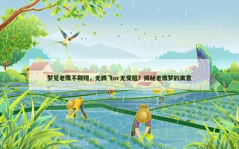梦见老鹰不翱翔,无腾飞or无受阻?揭秘老鹰梦的寓意 梦见老鹰不翱翔,无腾飞or无受阻?揭秘老鹰梦的寓意