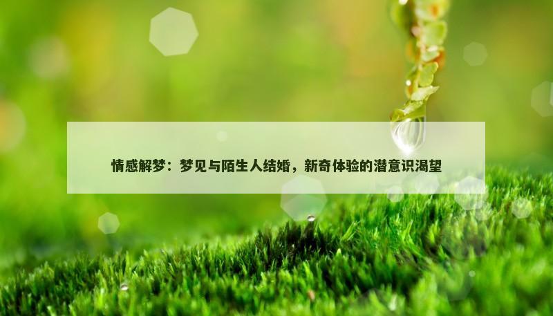 情感解梦:梦见与陌生人结婚,新奇体验的潜意识渴望 情感解梦:梦见与陌生人结婚,新奇体验的潜意识渴望