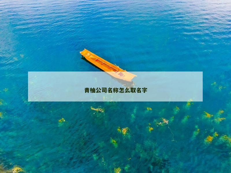 青柚公司名称怎么取名字 青柚公司名称怎么取名字