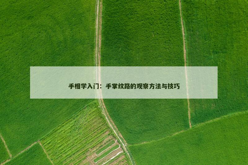 手相学入门:手掌纹路的观察方法与技巧 手相学入门:手掌纹路的观察方法与技巧