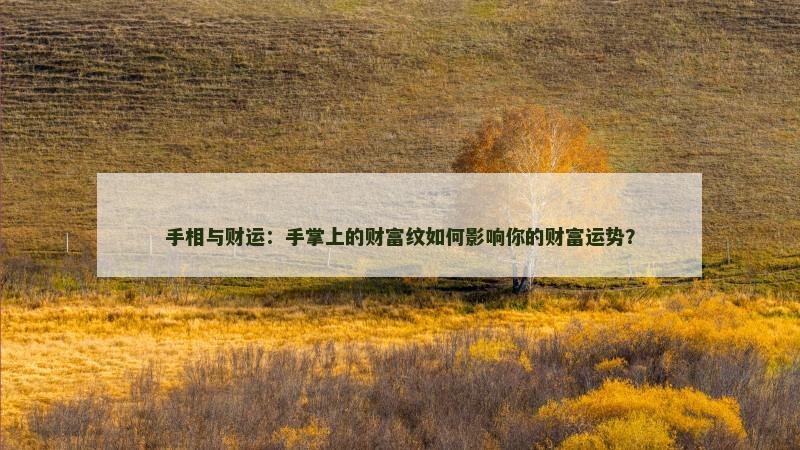 手相与财运:手掌上的财富纹如何影响你的财富运势? 手相与财运:手掌上的财富纹如何影响你的财富运势?