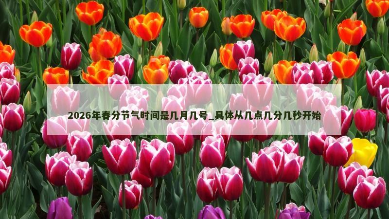 2026年春分节气时间是几月几号_具体从几点几分几秒开始