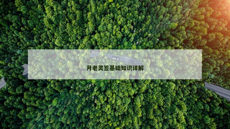 月老灵签基础知识详解