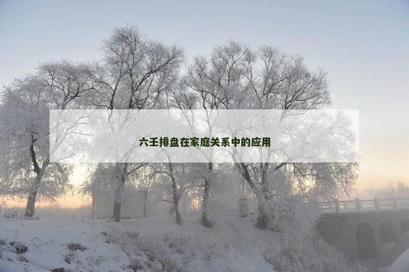 六壬排盘在家庭关系中的应用 六壬排盘在家庭关系中的应用