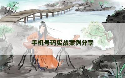 手机号码实战案例分享