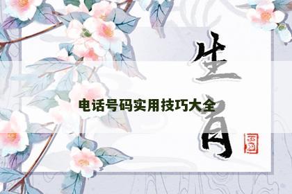 电话号码实用技巧大全