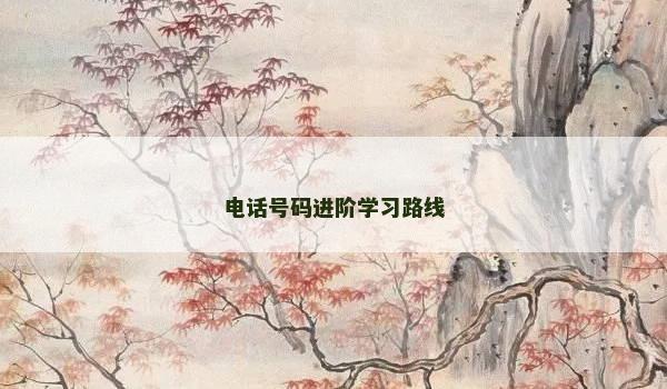 电话号码进阶学习路线