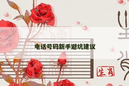 电话号码新手避坑建议