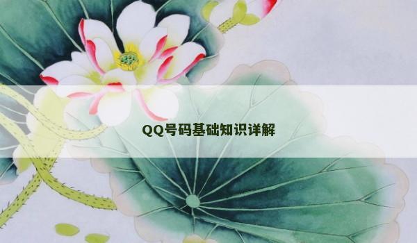 QQ号码基础知识详解