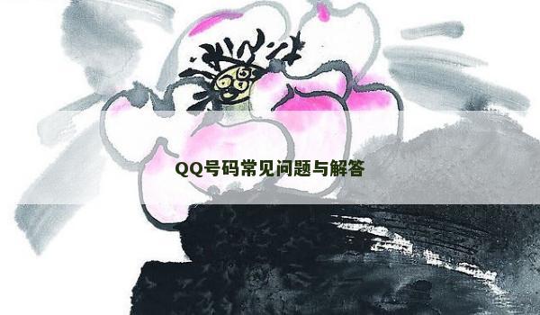 QQ号码常见问题与解答