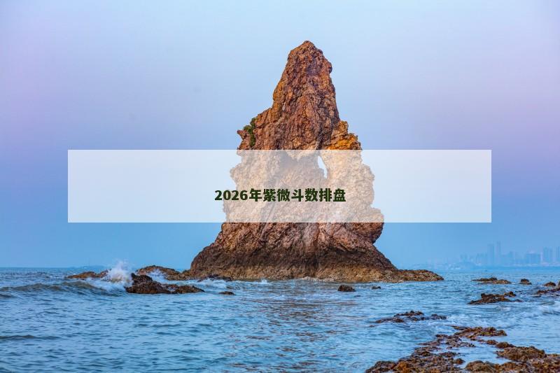 2026年紫微斗数排盘 2026年紫微斗数排盘