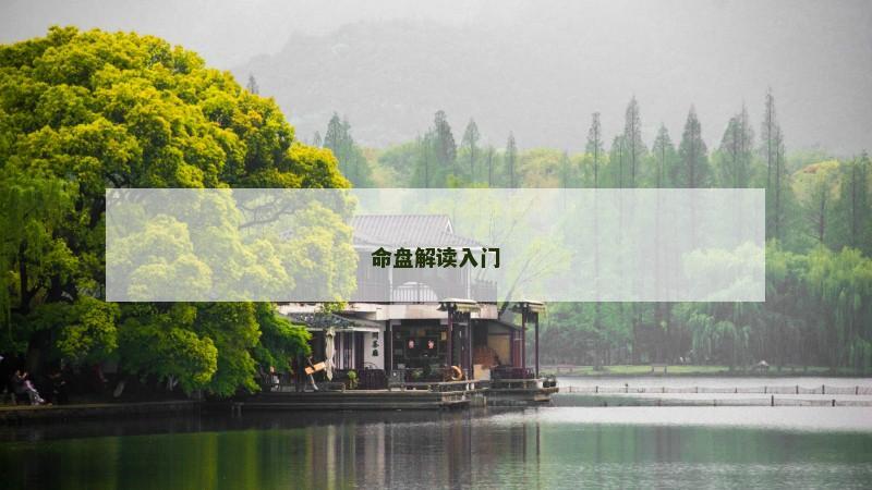 命盘解读入门
