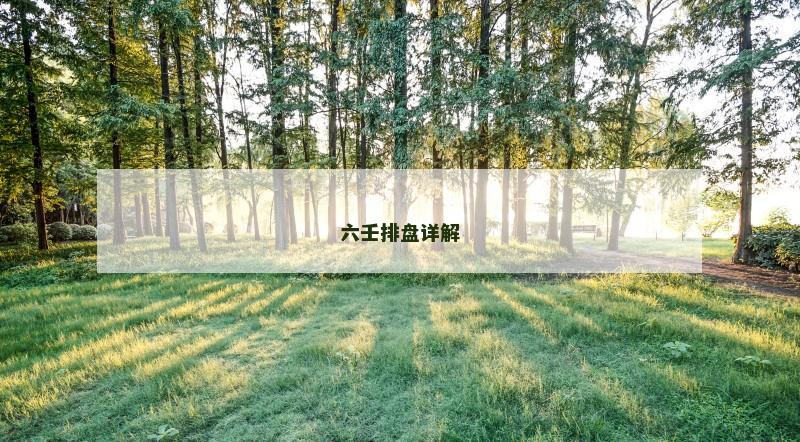 六壬排盘详解 六壬排盘详解