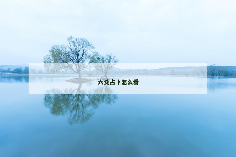 六爻占卜怎么看 六爻占卜怎么看